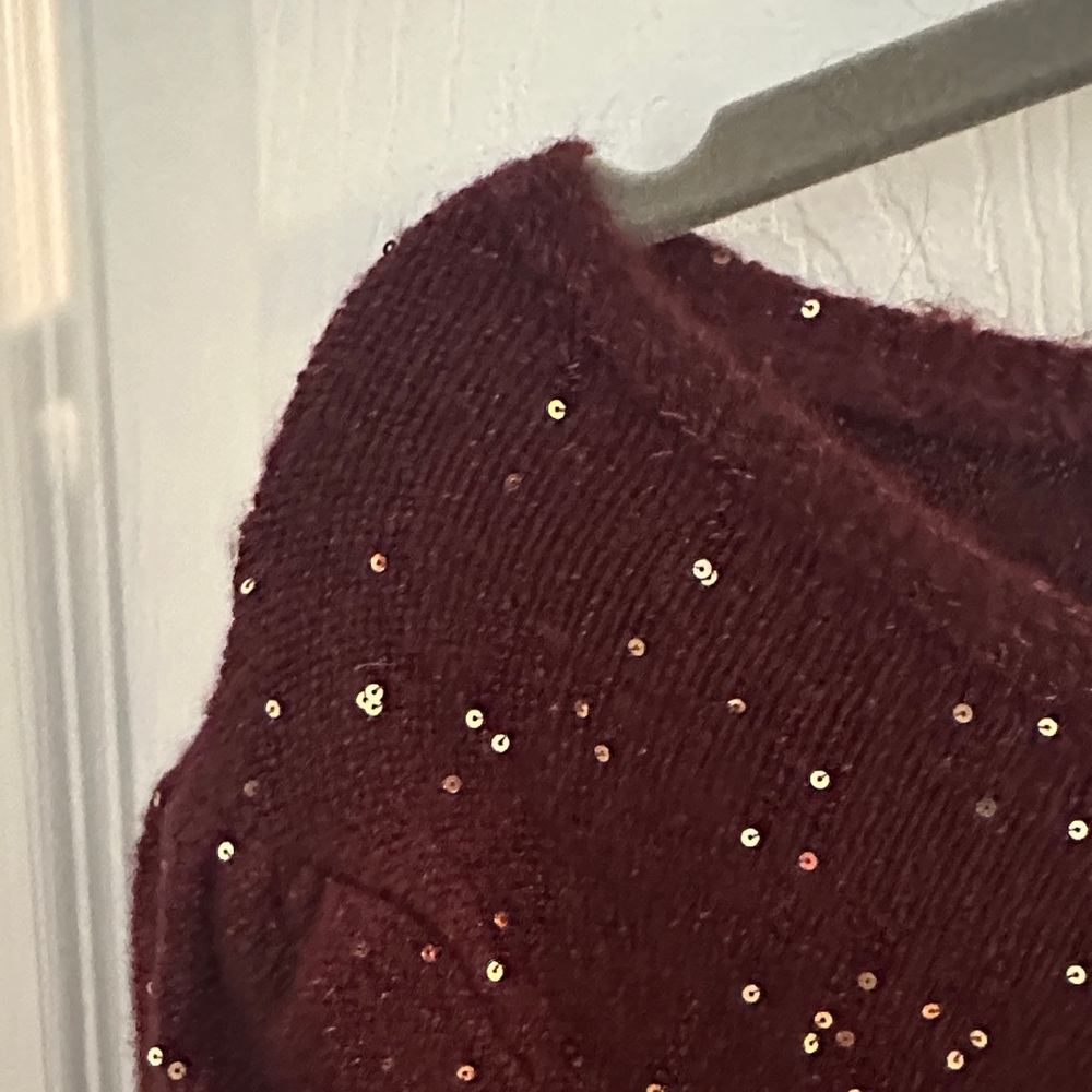 LOFT Burgundy V-Neck Sweater with Glitter Details - Picture 7 of 10